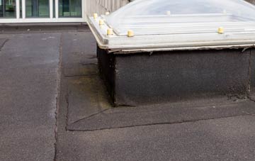 disadvantages of Widworthy flat roofs