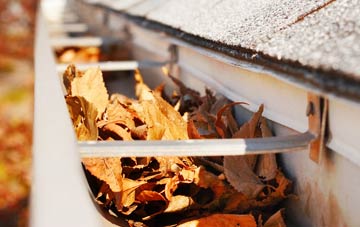 Widworthy gutter cleaning companies