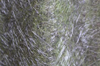 Widworthy fibreglass roof work